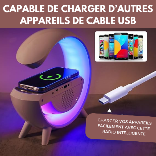 Radio Haut Parleur Intelligente à Chargement Sans Fil